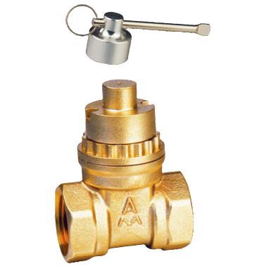 198黃銅磁性帶鎖閘閥